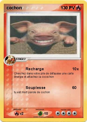 Pokemon cochon