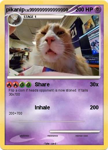 Pokemon pikanip