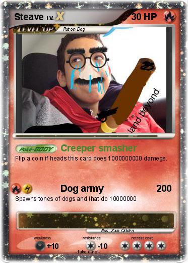 Pokemon Steave