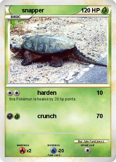 Pokemon snapper