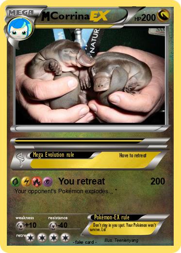 Pokemon Corrina