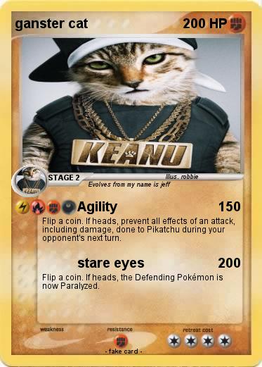 Pokemon ganster cat
