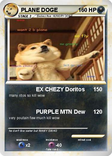 Pokemon PLANE DOGE
