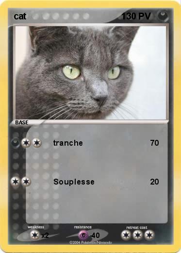Pokemon cat                                      1