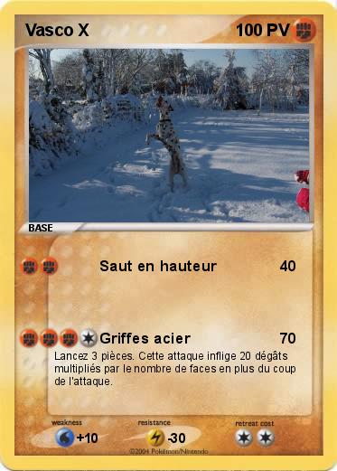 Pokemon Vasco X