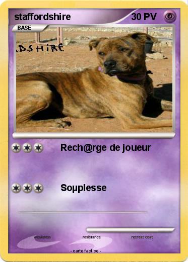 Pokemon staffordshire