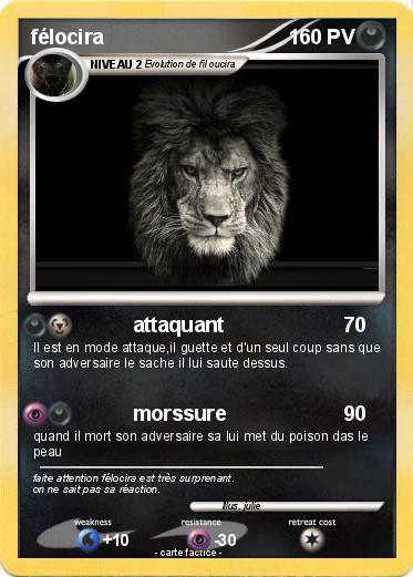 Pokemon félocira