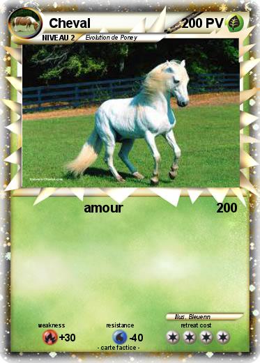 Pokemon Cheval