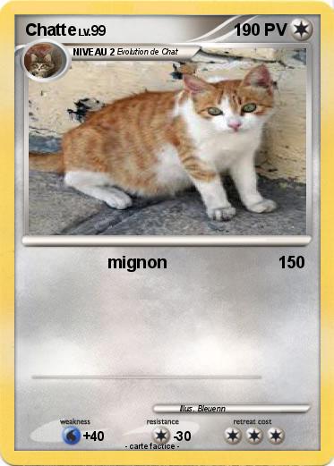 Pokemon Chatte
