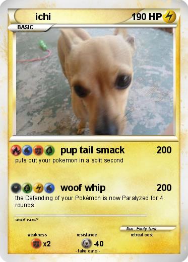 Pokemon ichi