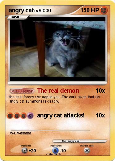 Pokemon angry cat