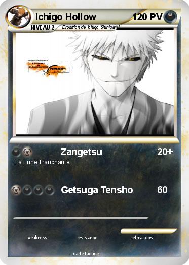 Pokemon Ichigo Hollow