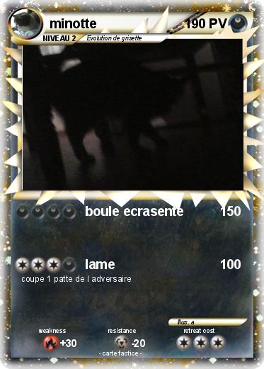 Pokemon minotte