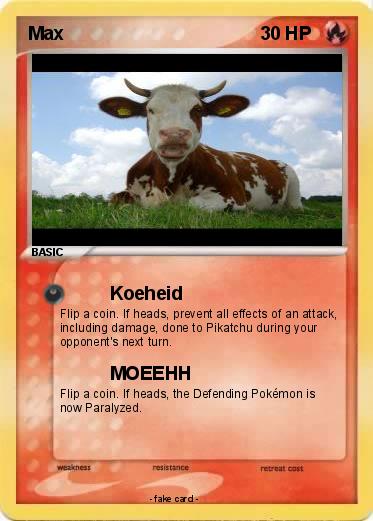 Pokemon Max