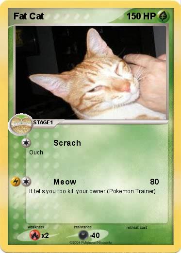 Pokemon Fat Cat