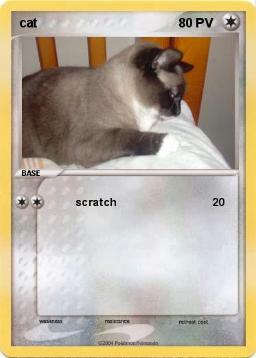Pokemon cat