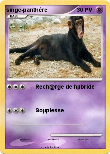 Pokemon singe-panthère