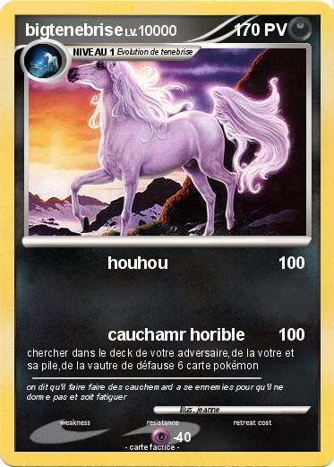 Pokemon bigtenebrise