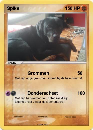 Pokemon Spike