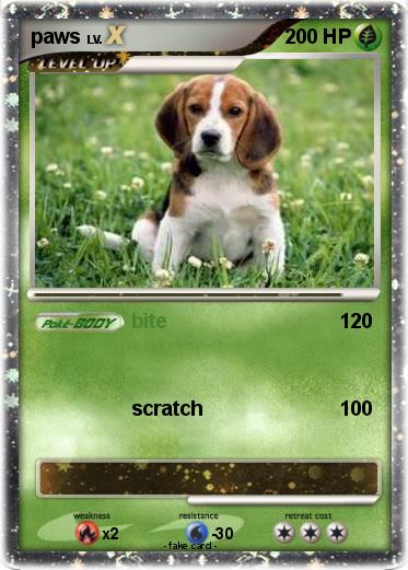 Pokemon paws
