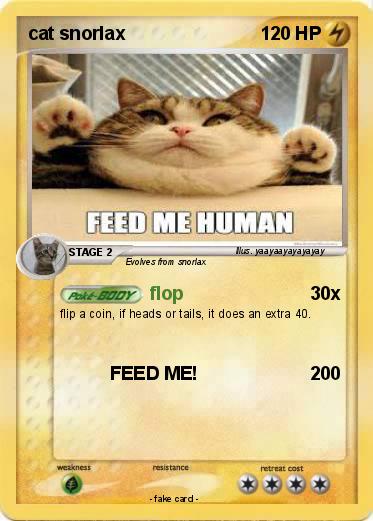Pokemon cat snorlax