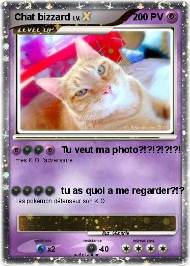 Pokemon Chat bizzard