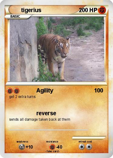 Pokemon tigerius