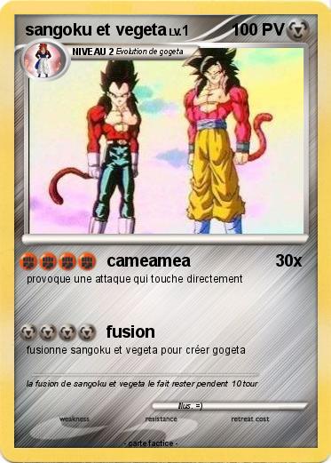 Pokemon sangoku et vegeta