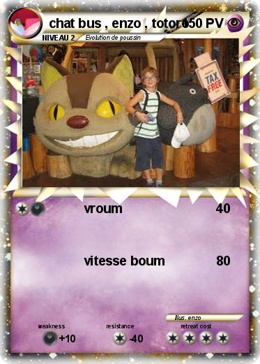 Pokemon chat bus , enzo , totoro