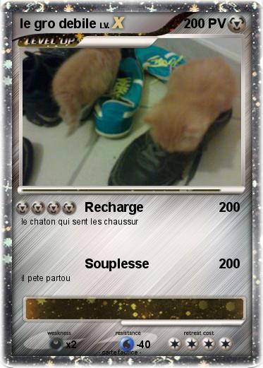 Pokemon le gro debile
