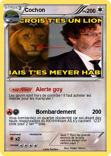 Pokemon Cochon