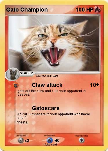 Pokemon Gato Champion