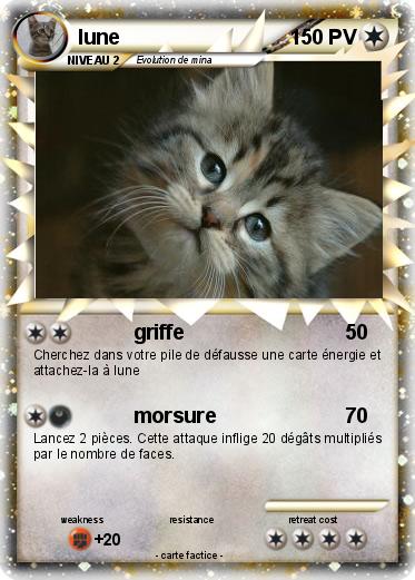 Pokemon lune