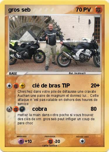 Pokemon gros seb