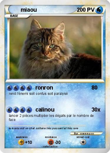 Pokemon miaou
