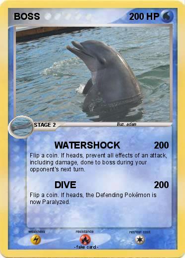 Pokemon BOSS