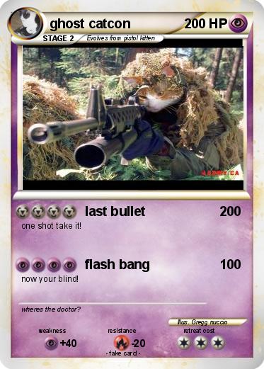 Pokemon ghost catcon