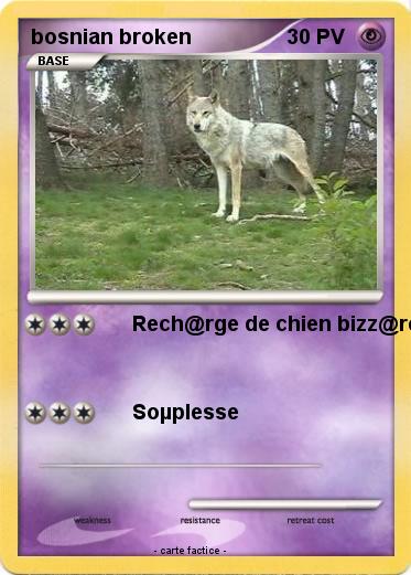 Pokemon bosnian broken