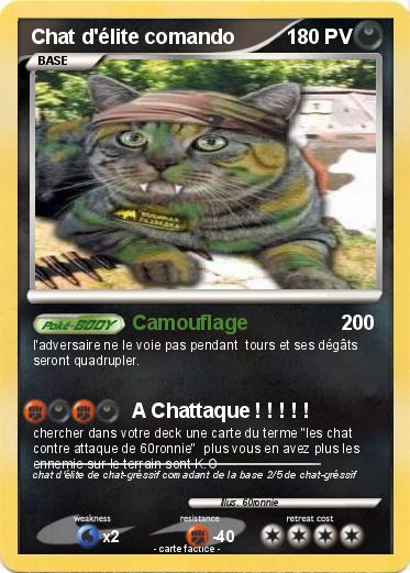 Pokemon Chat d'élite comando