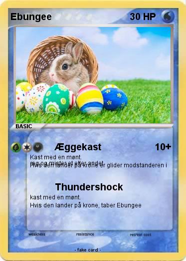 Pokemon Ebungee