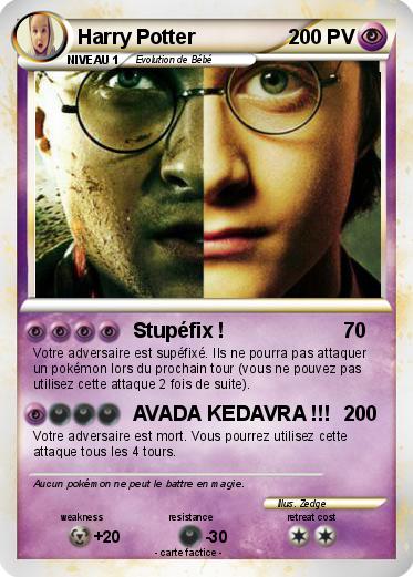 Pokemon Harry Potter