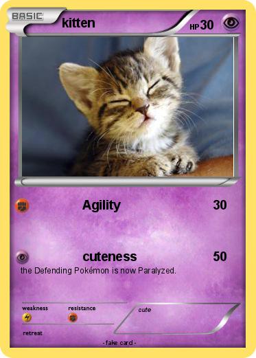 Pokemon kitten