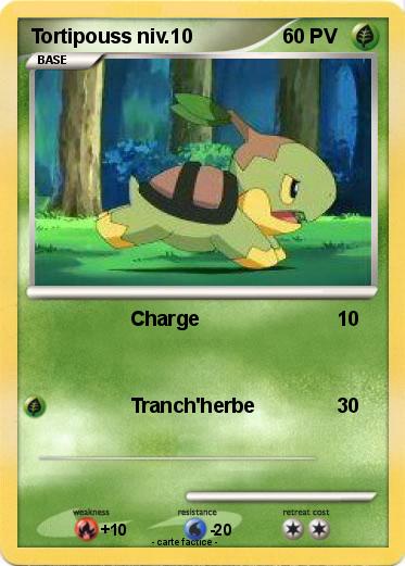 Pokemon Tortipouss niv.10