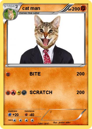 Pokemon cat man