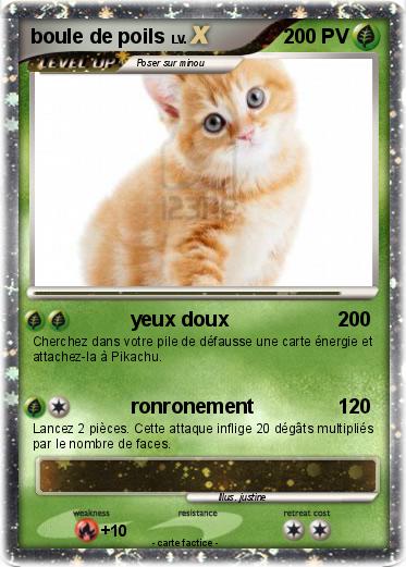 Pokemon boule de poils