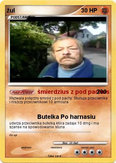 Pokemon żul