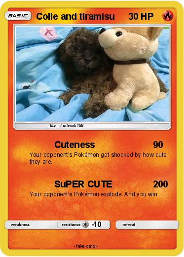 Pokemon Colie and tiramisu