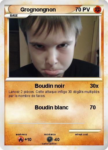 Pokemon Grognongnon