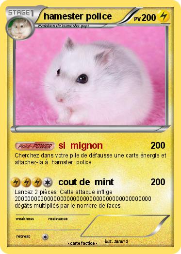 Pokemon hamester police