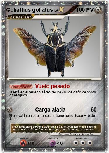 Pokemon Goliathus goliatus